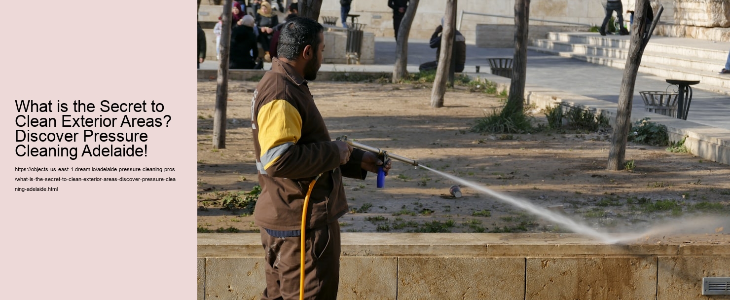 What is the Secret to Clean Exterior Areas? Discover Pressure Cleaning Adelaide!